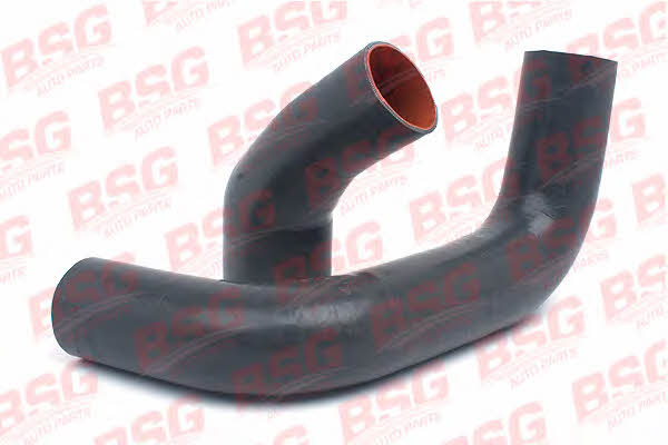 BSG 30-720-064 Charger Air Hose 30720064: Buy near me in Poland at 2407.PL - Good price!