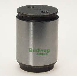Budweg 233621 Brake caliper piston 233621: Buy near me in Poland at 2407.PL - Good price!