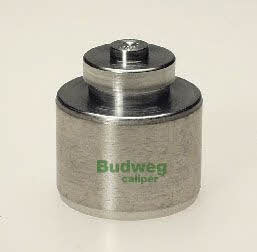 Budweg 233807 Brake caliper piston 233807: Buy near me in Poland at 2407.PL - Good price!