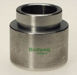 Budweg 234813 Brake caliper piston 234813: Buy near me in Poland at 2407.PL - Good price!