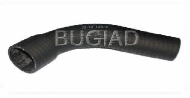 Bugiad 81633 Charger Air Hose 81633: Buy near me in Poland at 2407.PL - Good price!