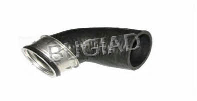 Bugiad 82653 Charger Air Hose 82653: Buy near me in Poland at 2407.PL - Good price!