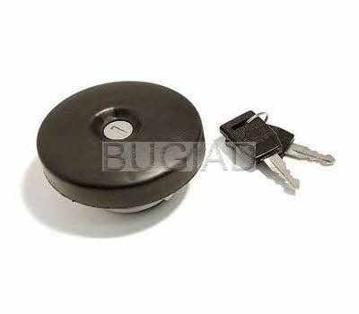 Bugiad BSP21519 Fuel Door Assembly BSP21519: Buy near me at 2407.PL in Poland at an Affordable price!