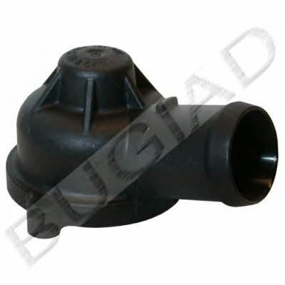 Bugiad BSP21717 Thermostat, coolant BSP21717: Buy near me at 2407.PL in Poland at an Affordable price!