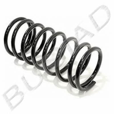 Bugiad BSP21797 Suspension spring front BSP21797: Buy near me at 2407.PL in Poland at an Affordable price!