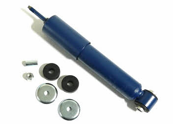 Bugiad BSP22106 Front oil and gas suspension shock absorber BSP22106: Buy near me in Poland at 2407.PL - Good price!