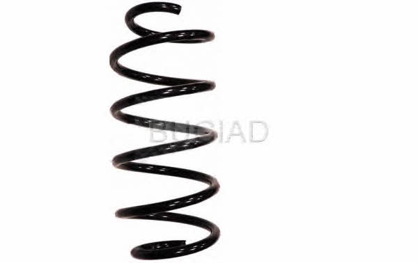 Bugiad BSP23462 Suspension spring front BSP23462: Buy near me at 2407.PL in Poland at an Affordable price!