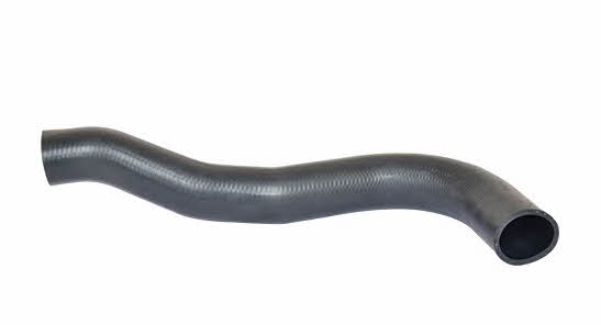 Bugiad 88666 Charger Air Hose 88666: Buy near me in Poland at 2407.PL - Good price!