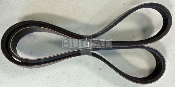 Bugiad BSP23196 V-ribbed belt 6PK1050 BSP23196: Buy near me in Poland at 2407.PL - Good price!