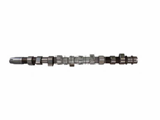 Bugiad BSP23344 Camshaft BSP23344: Buy near me at 2407.PL in Poland at an Affordable price!