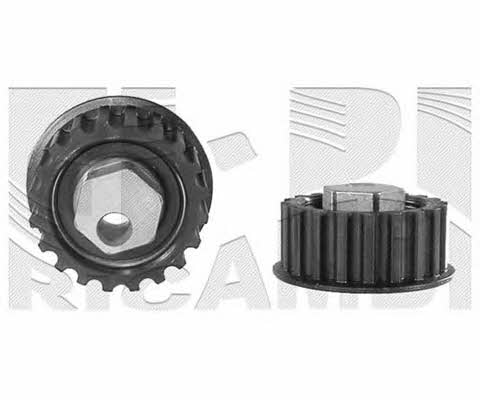 Caliber 06666 Tensioner pulley, timing belt 06666: Buy near me in Poland at 2407.PL - Good price!