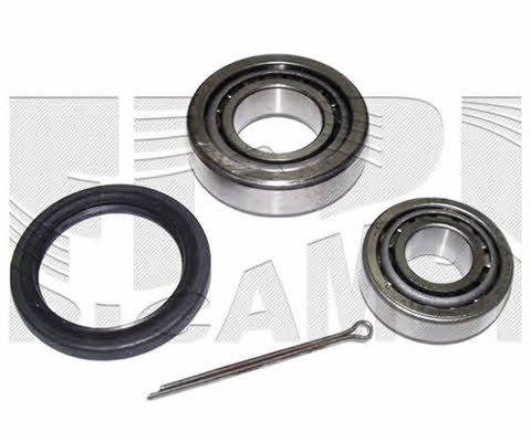 Caliber RC1510 Wheel bearing kit RC1510: Buy near me in Poland at 2407.PL - Good price!