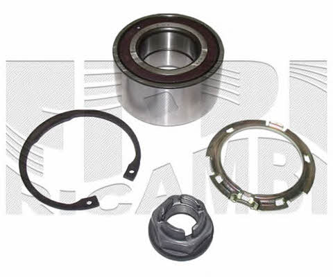 Caliber RC3099 Wheel bearing kit RC3099: Buy near me in Poland at 2407.PL - Good price!
