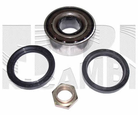 Caliber RC4043 Wheel bearing kit RC4043: Buy near me in Poland at 2407.PL - Good price!