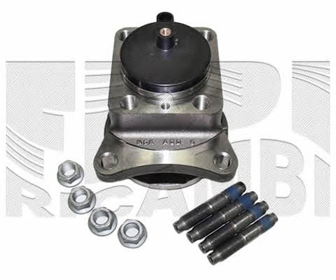 Caliber RC4053 Wheel bearing kit RC4053: Buy near me in Poland at 2407.PL - Good price!