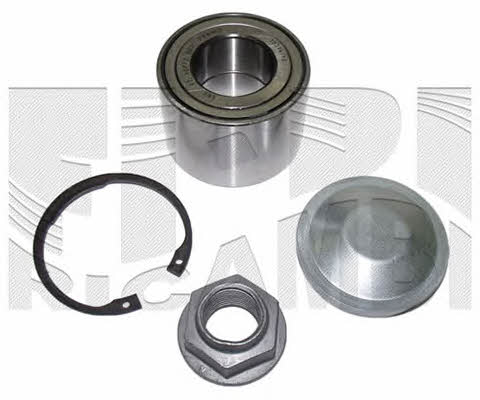 Caliber RC4414 Rear Wheel Bearing Kit RC4414: Buy near me at 2407.PL in Poland at an Affordable price!