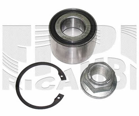 Caliber RC4480 Wheel bearing kit RC4480: Buy near me in Poland at 2407.PL - Good price!