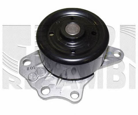 Caliber WPC307 Water pump WPC307: Buy near me in Poland at 2407.PL - Good price!