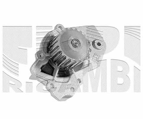 Caliber WPC489 Water pump WPC489: Buy near me in Poland at 2407.PL - Good price!