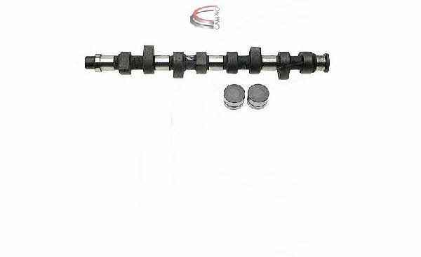 Campro CP60219 Camshaft set CP60219: Buy near me in Poland at 2407.PL - Good price!