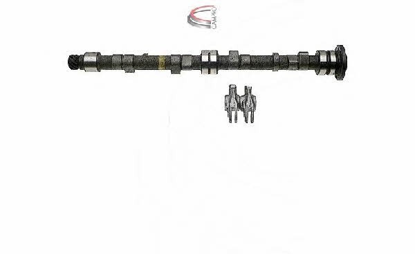 Campro CP60613 Camshaft set CP60613: Buy near me in Poland at 2407.PL - Good price!