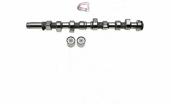 Campro CP61123 Camshaft set CP61123: Buy near me in Poland at 2407.PL - Good price!