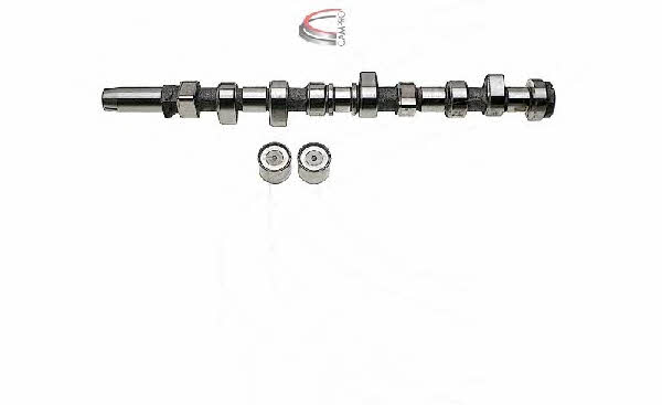 Campro CP61125 Nockenwelle kit CP61125: Kaufen Sie zu einem guten Preis in Polen bei 2407.PL!