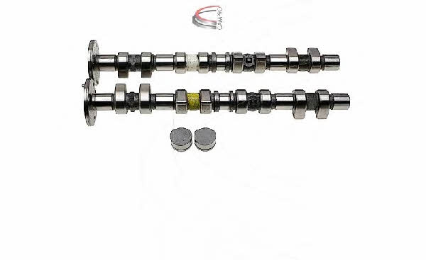Campro CP61913 Camshaft set CP61913: Buy near me in Poland at 2407.PL - Good price!