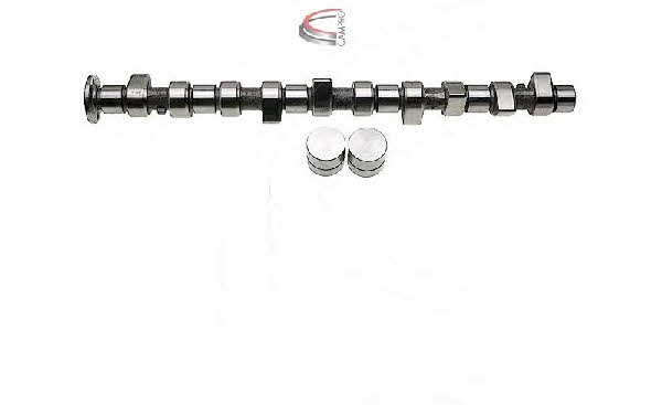 Campro CP61919 Camshaft set CP61919: Buy near me in Poland at 2407.PL - Good price!