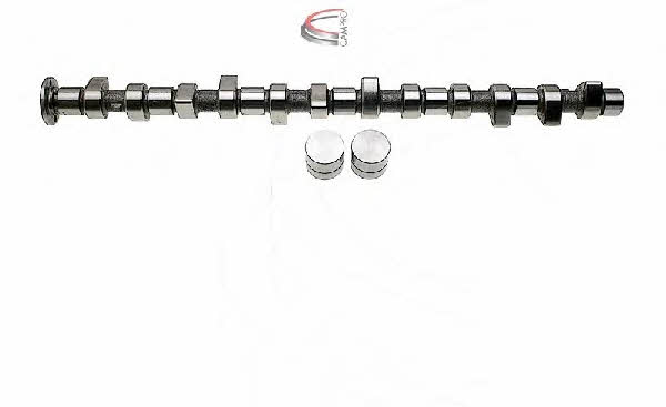 Campro CP61921 Nockenwelle kit CP61921: Kaufen Sie zu einem guten Preis in Polen bei 2407.PL!