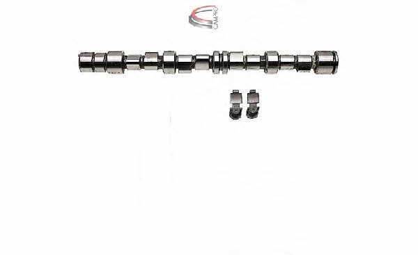 Campro CP62219 Nockenwelle kit CP62219: Kaufen Sie zu einem guten Preis in Polen bei 2407.PL!