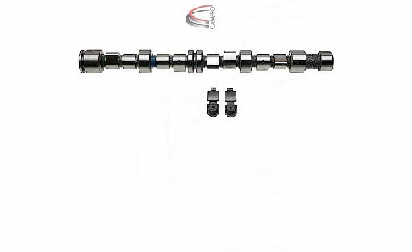 Campro CP62244 Camshaft set CP62244: Buy near me in Poland at 2407.PL - Good price!