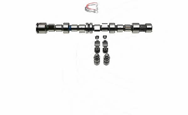 Campro CP62245 Camshaft set CP62245: Buy near me in Poland at 2407.PL - Good price!