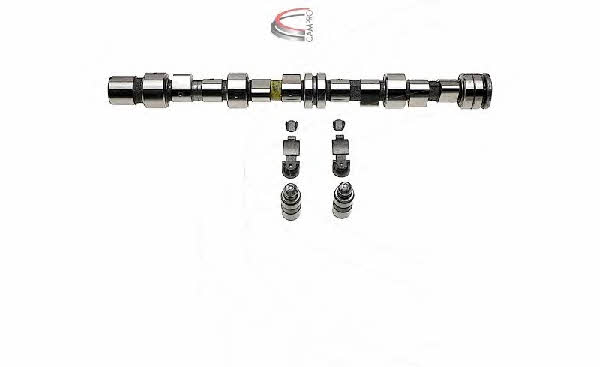 Campro CP62290 Camshaft set CP62290: Buy near me in Poland at 2407.PL - Good price!