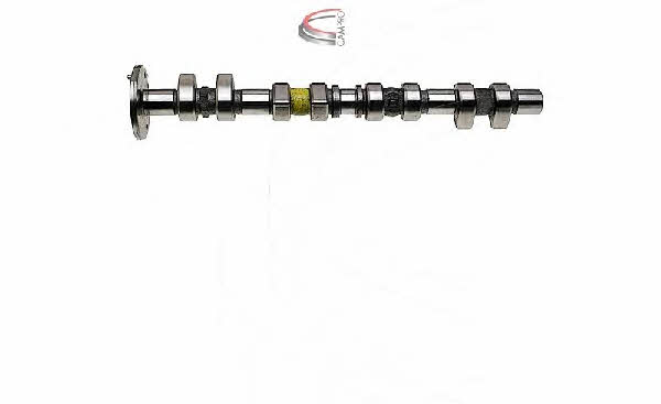 Campro CP11931 Camshaft CP11931: Buy near me in Poland at 2407.PL - Good price!