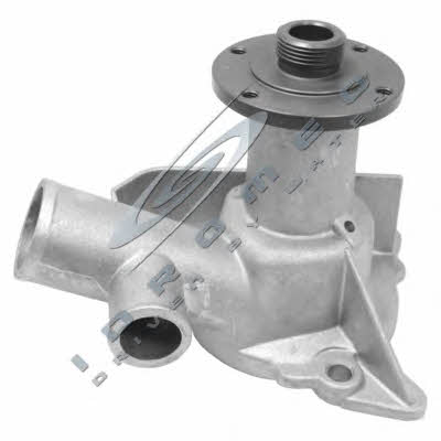 Car 330033 Water pump 330033: Buy near me at 2407.PL in Poland at an Affordable price!