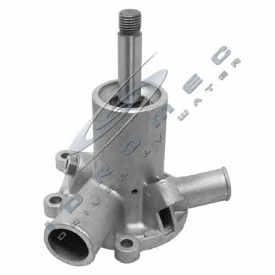 Car 330485 Water pump 330485: Buy near me at 2407.PL in Poland at an Affordable price!