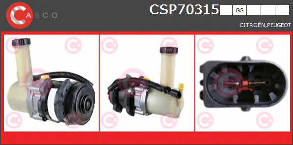 Casco CSP70315GS Hydraulic Pump, steering system CSP70315GS: Buy near me in Poland at 2407.PL - Good price!