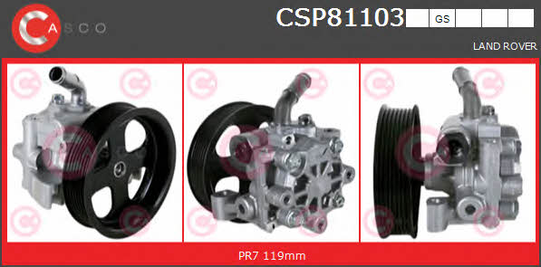 Casco CSP81103GS Pompa hydrauliczna, układ kierowniczy CSP81103GS: Dobra cena w Polsce na 2407.PL - Kup Teraz!
