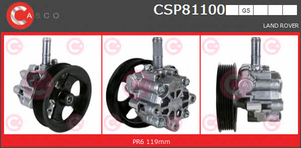 Casco CSP81100GS Pompa hydrauliczna, układ kierowniczy CSP81100GS: Dobra cena w Polsce na 2407.PL - Kup Teraz!