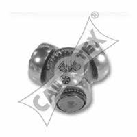 Cautex 010959 Drive Shaft Tripoid 010959: Buy near me in Poland at 2407.PL - Good price!