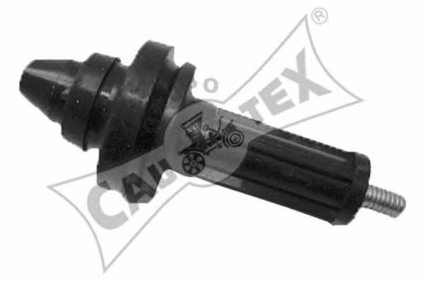 Cautex 011095 Engine cover 011095: Buy near me in Poland at 2407.PL - Good price!