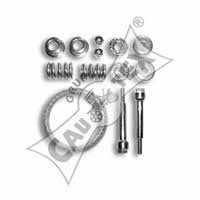 Cautex 030343 Exhaust mounting kit 030343: Buy near me in Poland at 2407.PL - Good price!