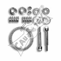 Cautex 030370 Exhaust mounting kit 030370: Buy near me in Poland at 2407.PL - Good price!