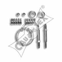 Cautex 030371 Exhaust mounting kit 030371: Buy near me in Poland at 2407.PL - Good price!