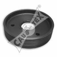 Cautex 020908 Power Steering Pulley 020908: Buy near me in Poland at 2407.PL - Good price!