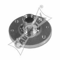Cautex 021043 Wheel hub front 021043: Buy near me in Poland at 2407.PL - Good price!