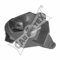Cautex 021110 Подушка двигуна 021110: Приваблива ціна - Купити у Польщі на 2407.PL!