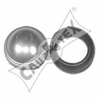 Cautex 081092 SHAFT SEALS SINGLE 081092: Buy near me in Poland at 2407.PL - Good price!