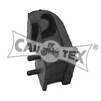 Cautex 460037 Engine mount, rear 460037: Buy near me in Poland at 2407.PL - Good price!
